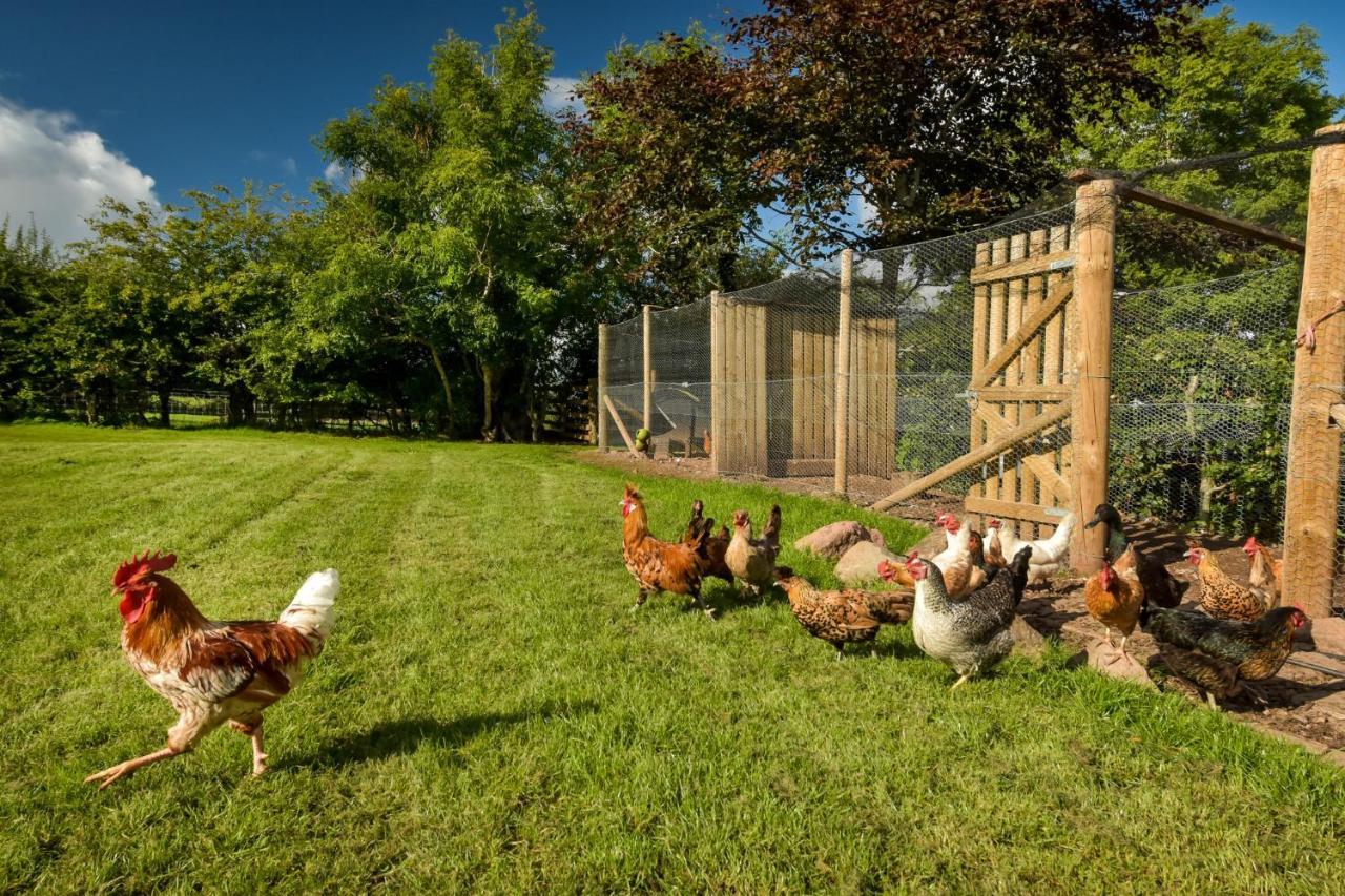 The Studio At Pitmeadow Farm Dunning 外观 照片